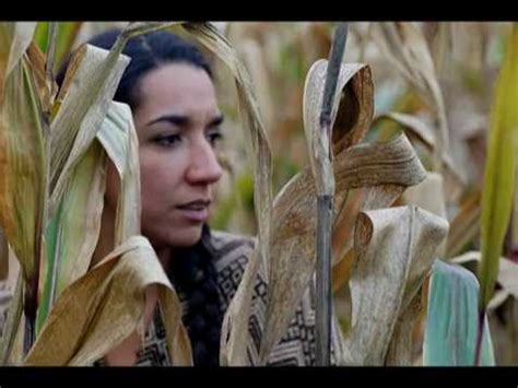  The Woman Who Fell into the Cornfield - A Mystical Journey Through Mexican Folklore