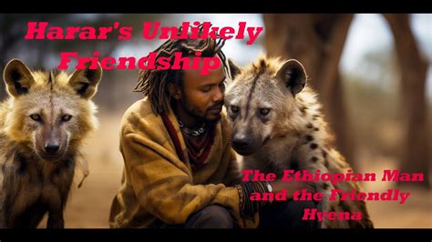  The Donkey and the Lion:  A Hilarious Tale of Ethiopian Cunning and Unlikely Friendship!